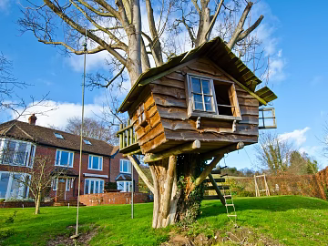 Natural cabin pictures texture (ID:ffach989984)