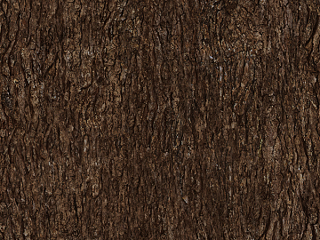 bark texture (ID:ffajg62575)