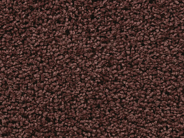 Coarse carpet texture (ID:ffagg59854)