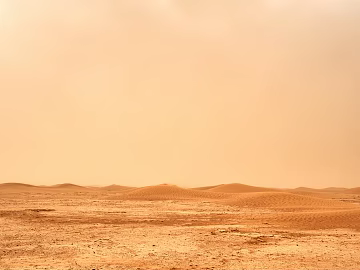 Desert texture (ID:ffajg56900)