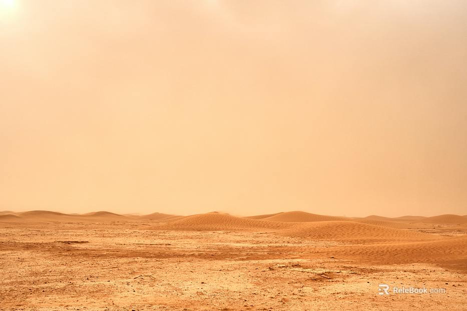 Desert texture