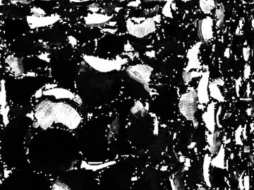 Black and white terrazzo kitchen and bathroom floor tile texture (ID:ffaeh291236)