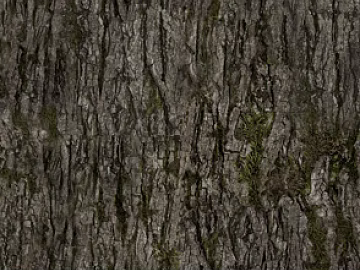 bark texture (ID:ffaeg93938)