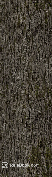 bark texture