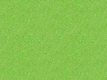 Turf texture (ID:ffach110143)