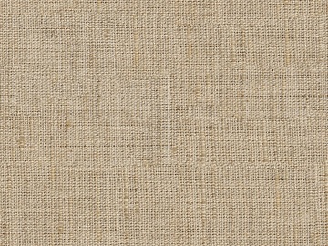 plain cloth texture (ID:ffaag73659)