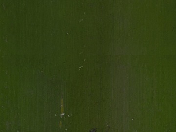 Bamboo texture (ID:ffabg21659)