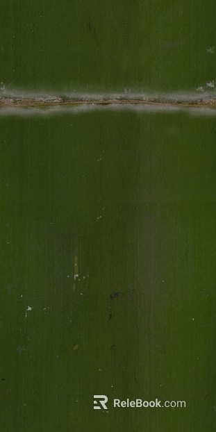 Bamboo texture