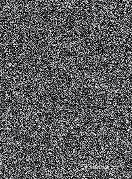 pile carpet texture
