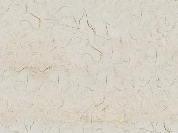 DuPont Paper texture (ID:ffagg55674)