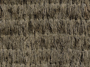 Thatch texture (ID:ffadf5716)