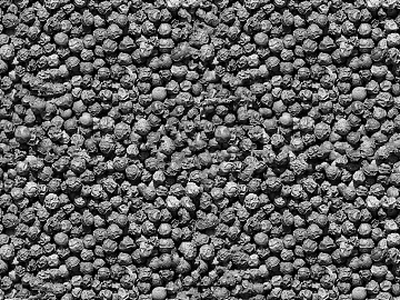 Black and White Bump 3d model