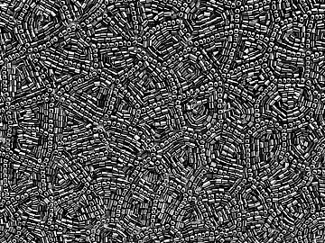 Black and White Bump 3d model