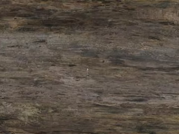 old wood texture (ID:ffadg24194)