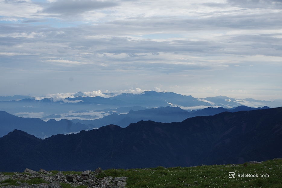 Wild Scenery texture