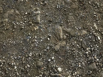 Sand texture (ID:ffaeg58339)