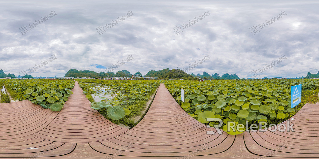 HDR Green Trailway Forest Leisure Riverside texture