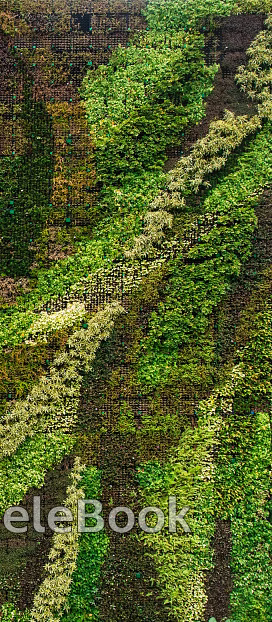 Plants texture