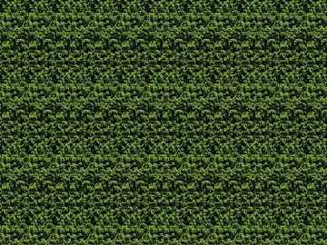 Turf 3d model