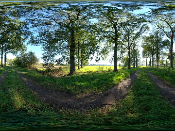 Outdoor Woods Path Daytime Sunny Day HDR texture (ID:ffabg09101)