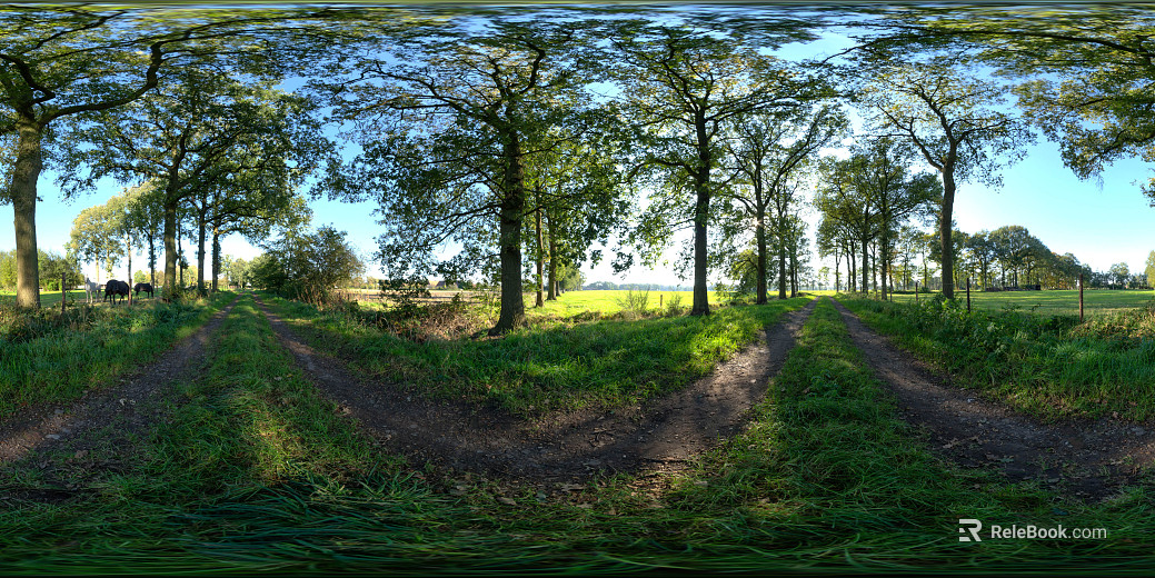Outdoor Woods Path Daytime Sunny Day HDR texture