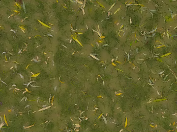 Grassland texture (ID:ffach420965)