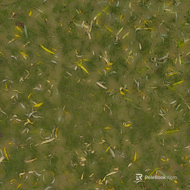 Grassland texture