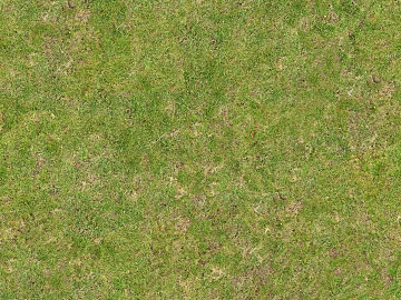 Turf ground texture (ID:ffaaf1802)