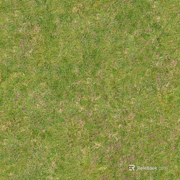 Turf ground texture