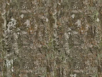 bark texture (ID:ffabg10384)