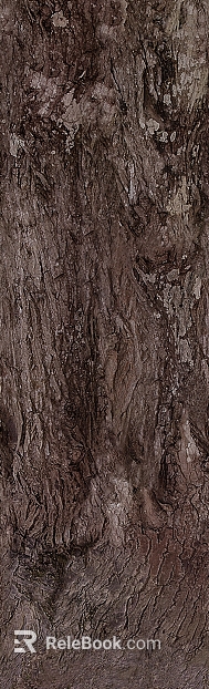 bark texture