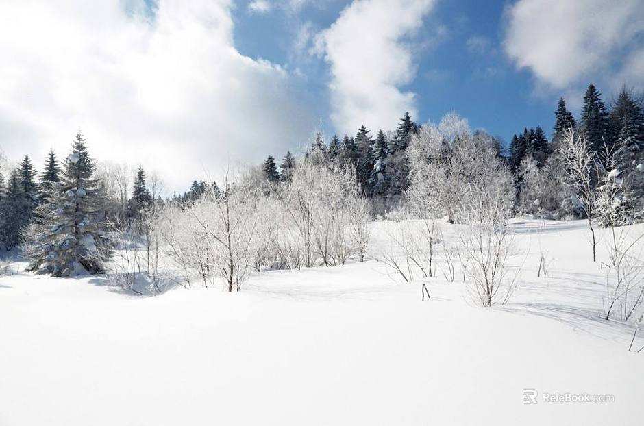 Snow texture