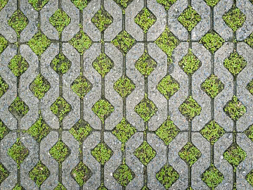 grass-planting brick texture (ID:ffach105638)