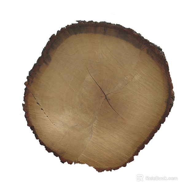 Annual ring PBR texture