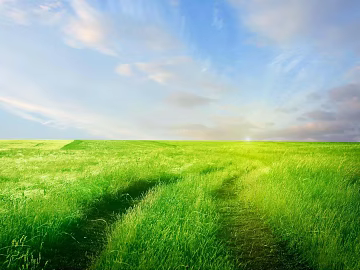 Wild Scenery texture (ID:ffaeg91124)