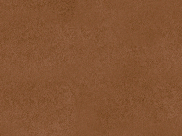 fine grain leather texture (ID:ffacg87296)