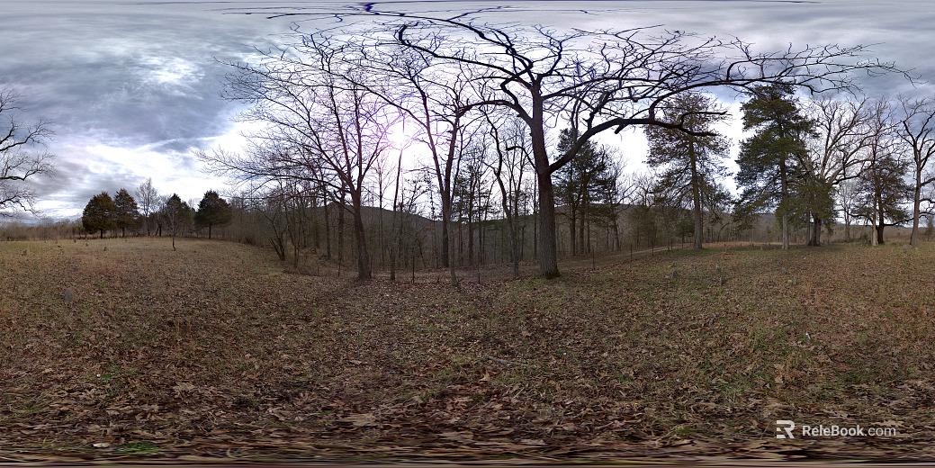Daytime cloudy forest cemetery HDR texture