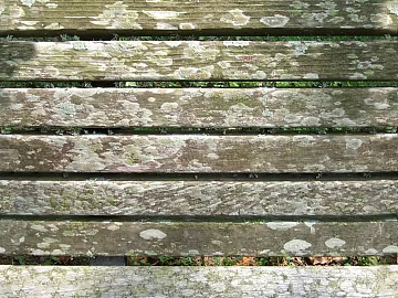wood panel seamless texture (ID:ffabg50322)