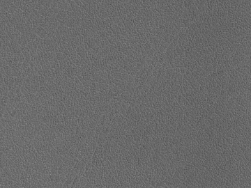fine grain leather 3d model