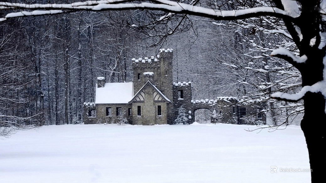 Snow texture