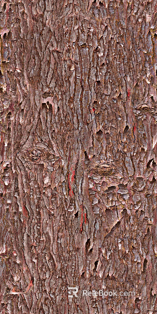bark texture