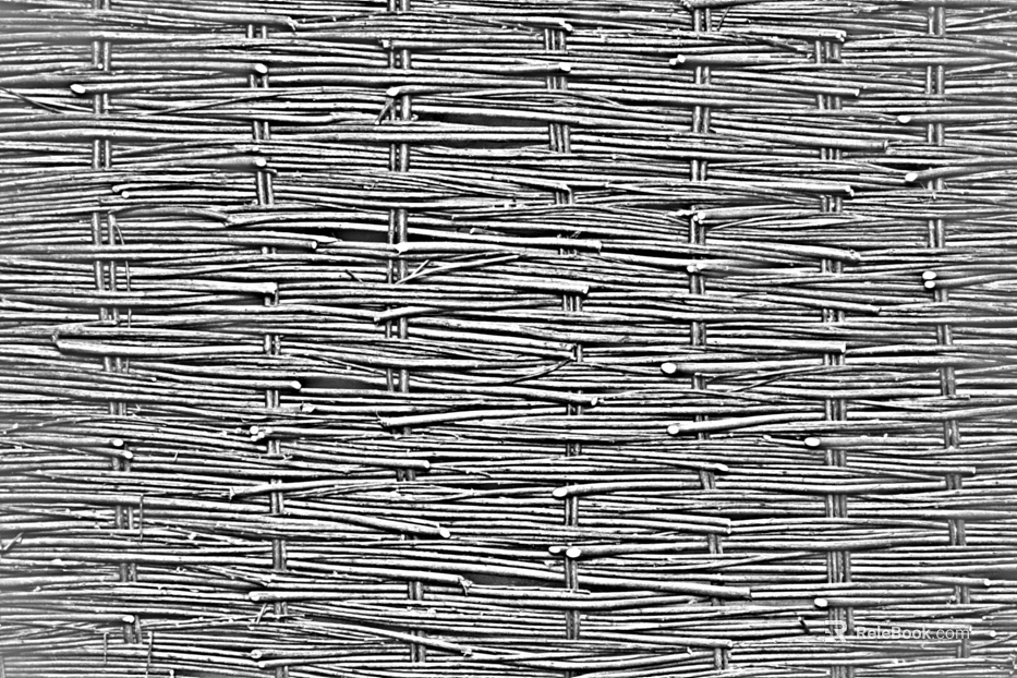 Black and White Bump texture