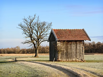 Wooden House texture (ID:ffach779984)