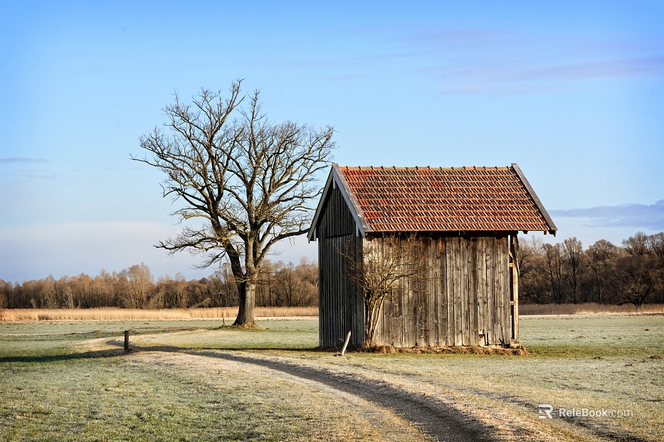 Wooden House texture