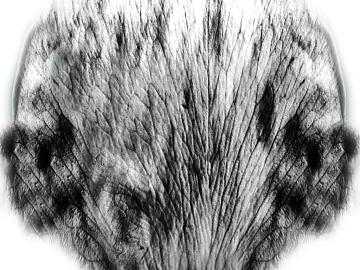 Black and White Bump texture (ID:ffajf9479)