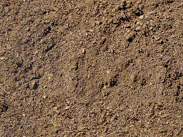 Mud texture (ID:ffaeg71439)