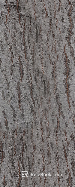 bark texture