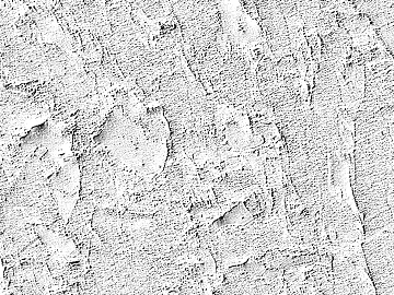 Black and White Bump texture (ID:ffabg59318)