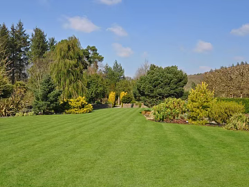 Wild Scenery texture (ID:ffach390910)