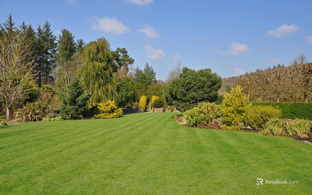 Wild Scenery texture